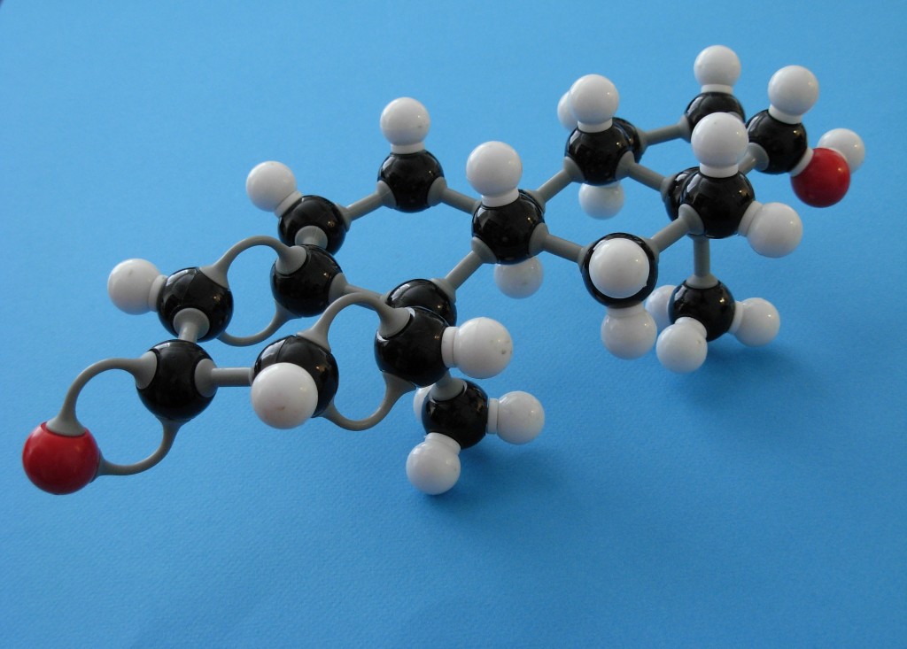 Boldenone molecule (underside)